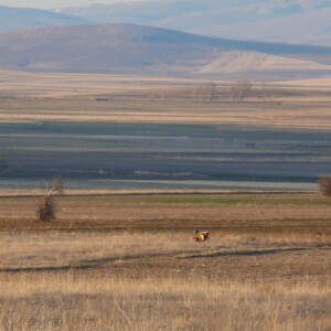 mein erster Zeltplatz
morgens lag Reif auf dem Zelt