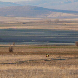 mein erster Zeltplatz
morgens lag Reif auf dem Zelt
