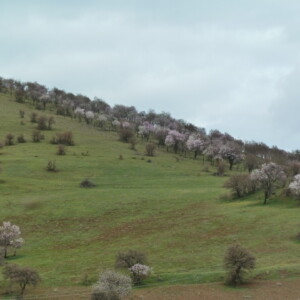 noch auf dem Weg nach Malatya