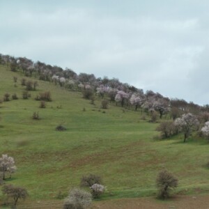 noch auf dem Weg nach Malatya