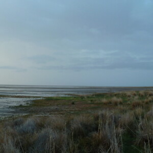 Der Urmia See