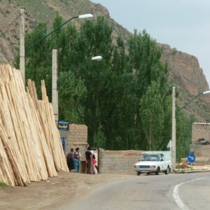 und als Bauholz eingesetzt