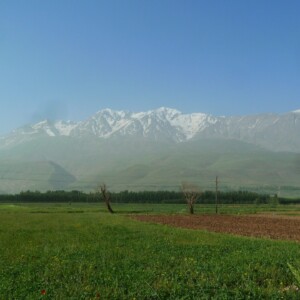 Ein kleiner Ausschnitt des Zagrosgebirgs