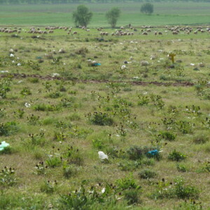 Der Iran hat ein Müllproblem