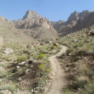 Noch eine Bergtour auf den Shir Kuh 4055m